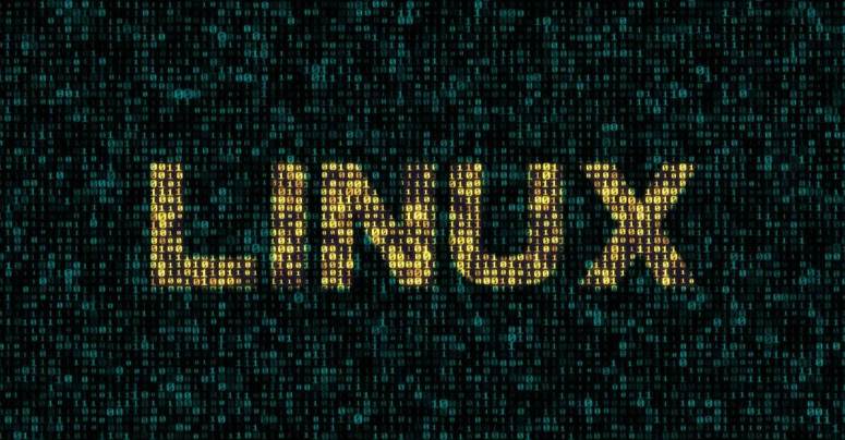 Critical '10-out-10' Linux Kernel SMB Hole - Should You Worry?