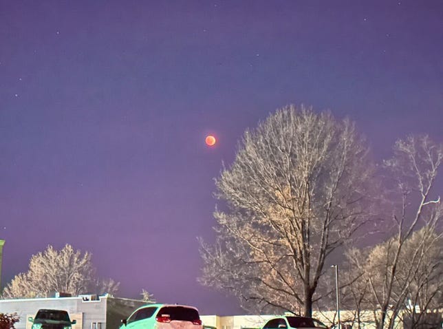 A purple night sky with a red moon and a tree in the foreground